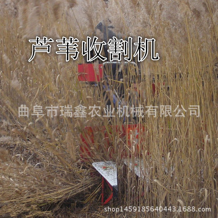 籼稻晚稻割晒机 生产销售芦苇割晒机 开封