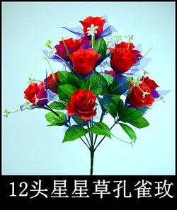 12头带纱星星草孔雀玫