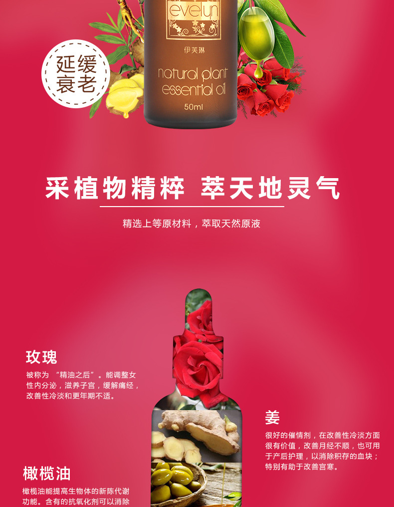 伊芙琳卵巢保养精油-50ml_07