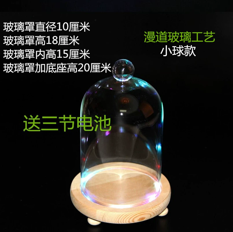 DIY Forever Life Flower Multicolor Lamp Base Glass Cover Fresh-keeping Flower Cover Cake Cover Mini Landscape Glass Vase Manufacturer