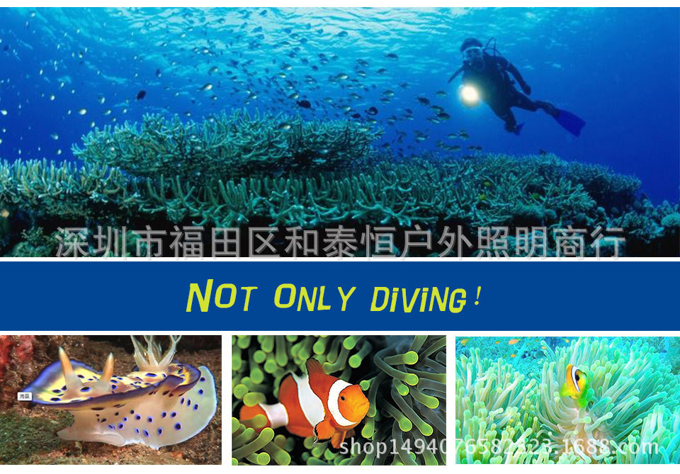 HTB1z6iaQpXXXXarXFXXq6xXFXXXl