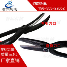 ǝֹ䓼 _/FƤ/P䓾ʹ ߴNx