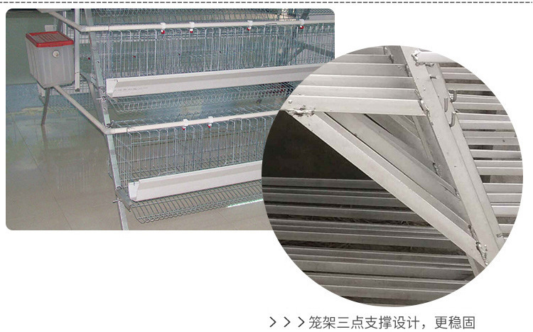 4 layers 5 nests 160 capacity layer chicken cage