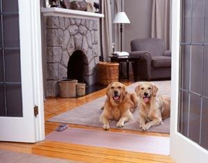 Pet mats, cat mats, dog mats, static blankets, prevent pets from harming the areas you protect 4