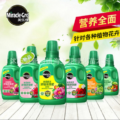 Melaleuca trees family gardening Pleiotropic concentrate Liquid fertilizer flowers and plants Green plant Potted plant Nutrient solution Hydroponics