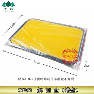 A4 䓱PϞ�� 21cm*31cm �������� �W����Ϟ�P ���ʱP