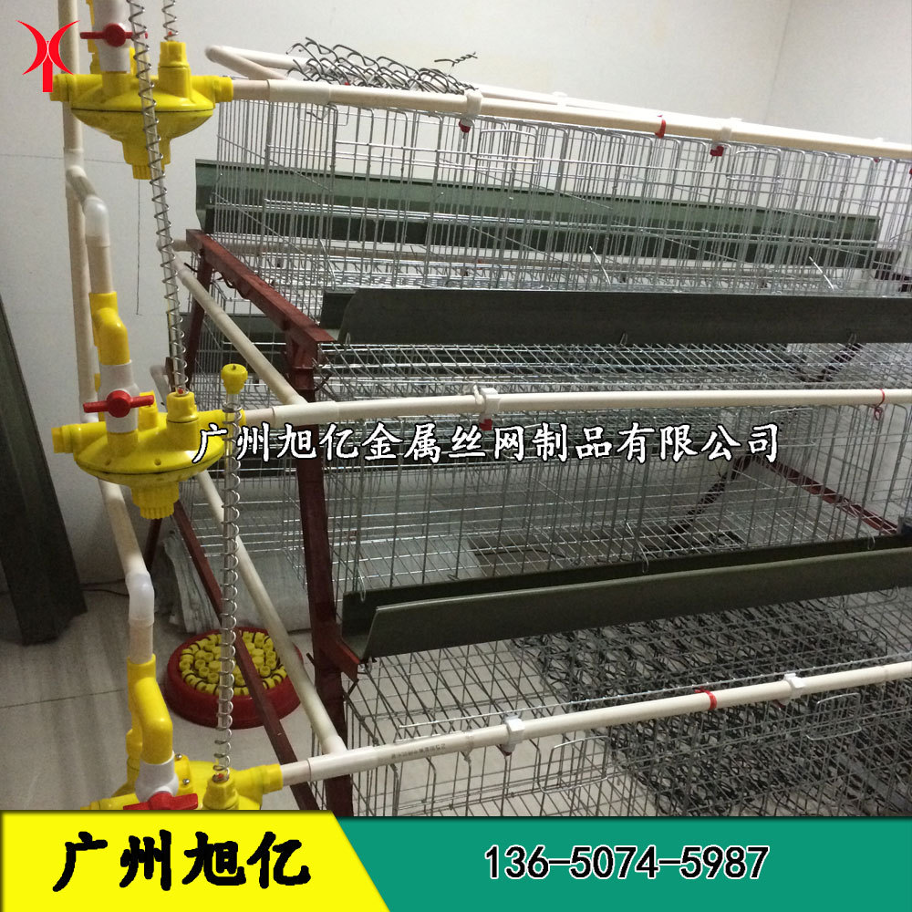 A A Ze E C E Ae A A A A E A Sa Schicken Cagee E C E ªas A Ae E C Zoppah Com Zoppah Online