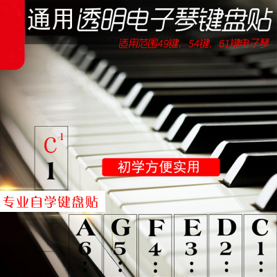 專業透明鍵貼紙49  54 61鍵電子琴通用鍵盤貼手卷鋼琴鍵貼紙