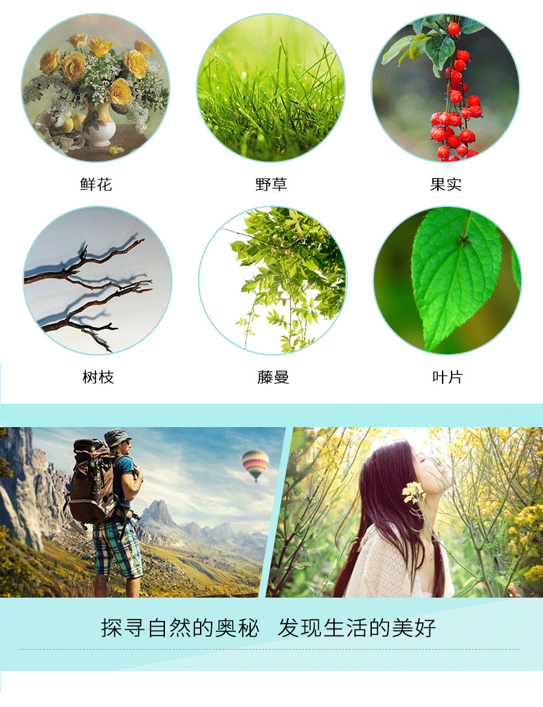 兔尾草详情页_02