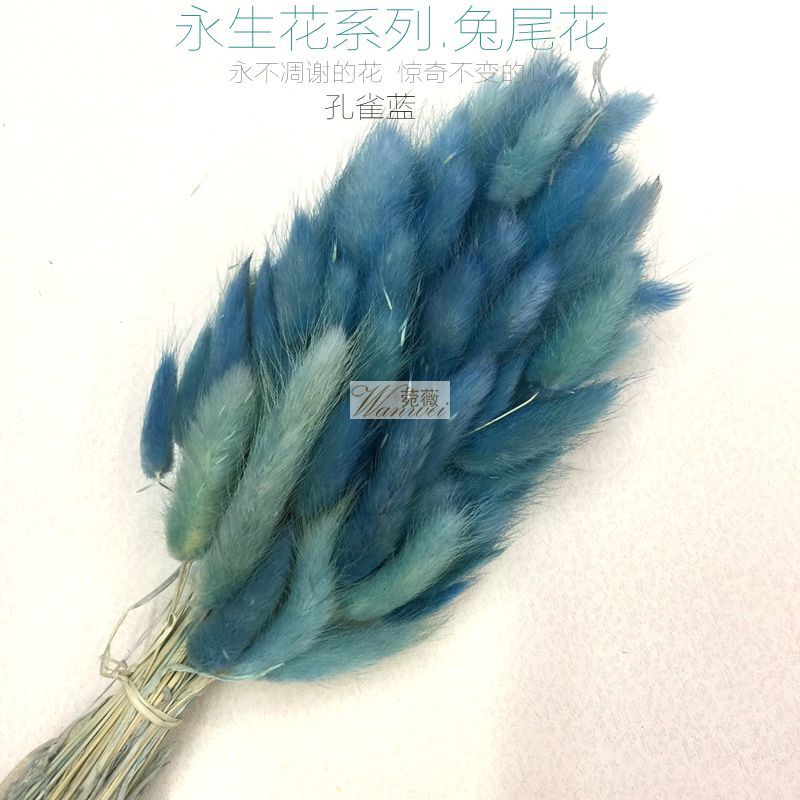 微信图片_20170521112239_副本