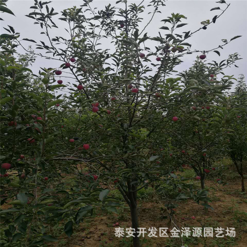 微信图片_201709101603053