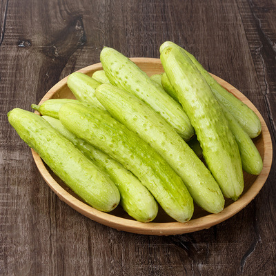 烟台海阳白玉黄瓜 现摘新鲜蔬菜产地直销  白玉黄瓜|ms