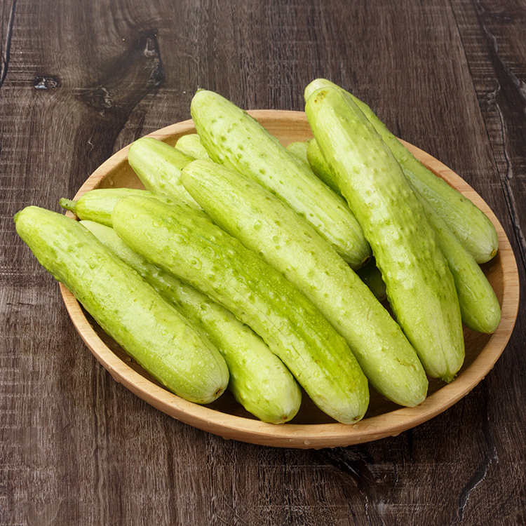 烟台海阳白玉黄瓜 现摘新鲜蔬菜产地直销  白玉黄瓜|ms