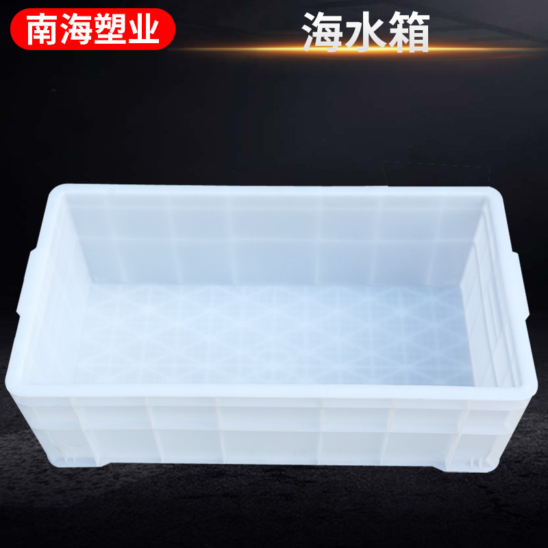 海水箱塑料周转箱 方形塑料水箱 白色塑料周转箱 塑料箱