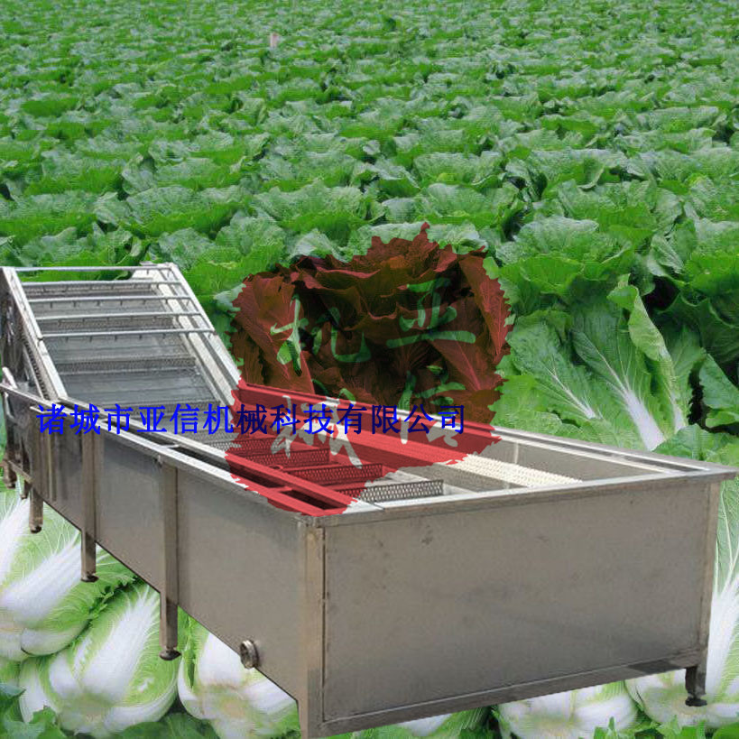 大白菜气泡清洗机适合圆白菜 大头菜 小白菜等大叶蔬菜清洗|ru