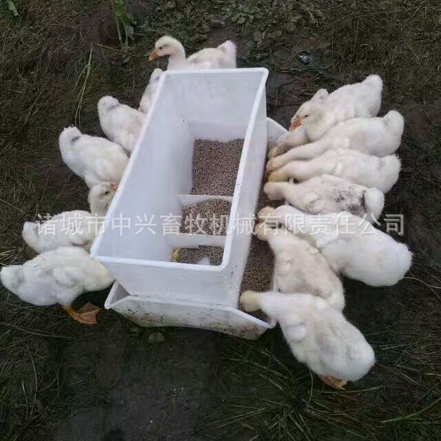 种鸭食槽塑料鸭料箱白色长方形塑料鸭喂料箱