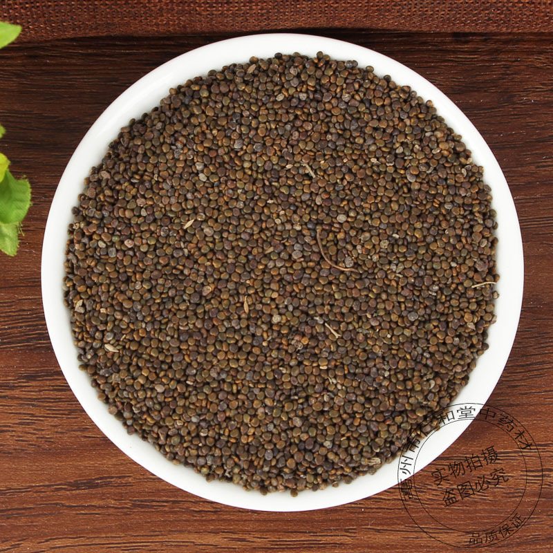 Sha Yuan Zi Astragalus Seeds 500g Dried Flatstem Milkvetch Seed Traditional TCM Herb for Decoction and Culinary Use overview