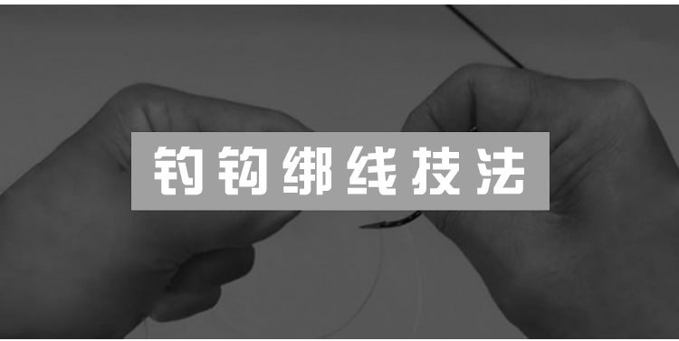 未标题-1-副本_12