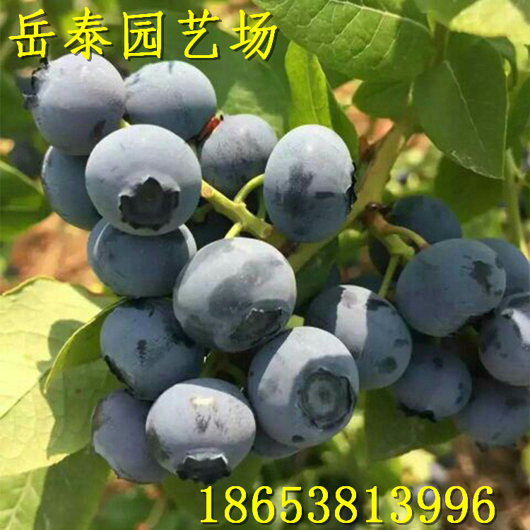 1485440511495