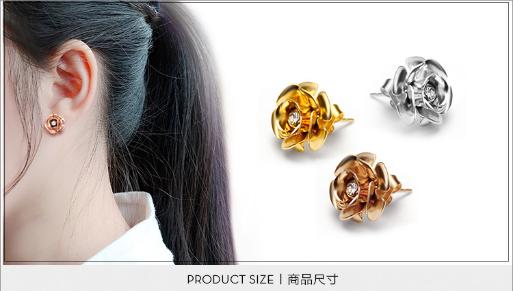 Titanium&Stainless Steel Fashion Flowers earring(Rose gold) NHOK0247-Rose-gold