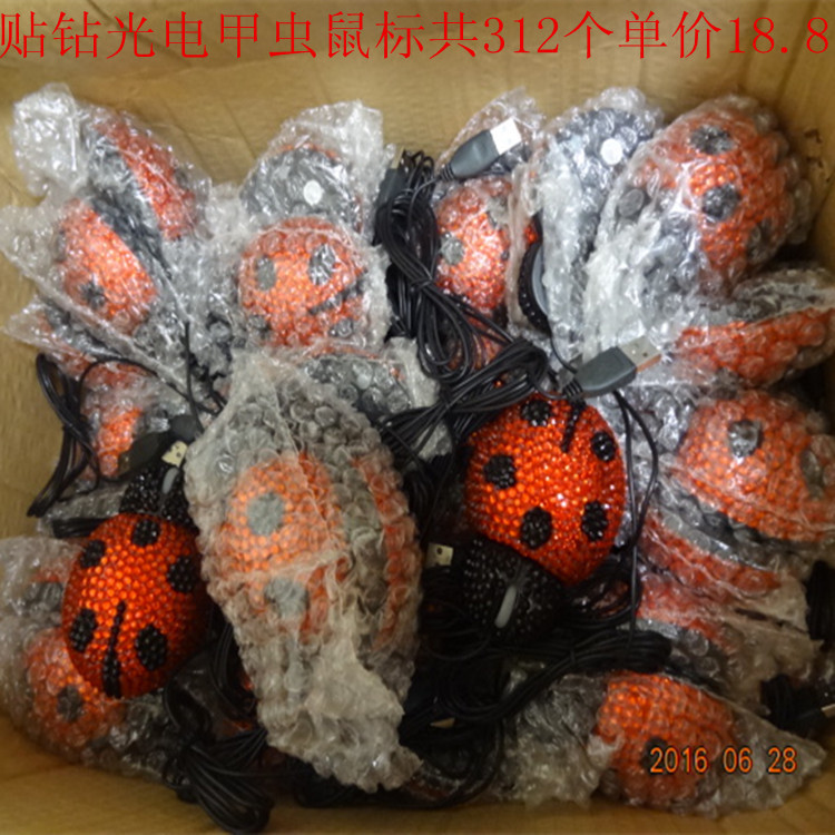DSC05096_副本