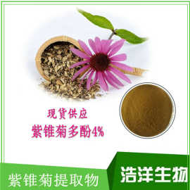 现货热销 紫锥菊提取物 紫锥菊多酚4% 水提 醇提紫锥菊 图片价格