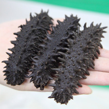 ���Ŵ��}�n������ɺ��� ����t�������}��n�������l