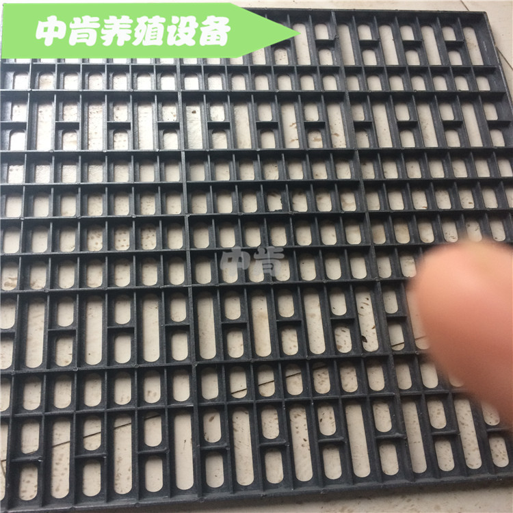 兔用漏粪板 兔子漏粪板 兔笼塑料底板 兔子塑料漏粪板 55乘65