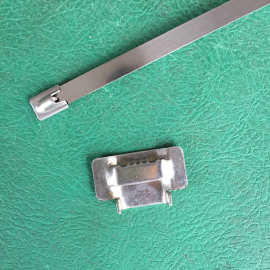 304牙型打包扣 16mm喷塑不锈钢扎带扣 牙型不锈钢卡扣
