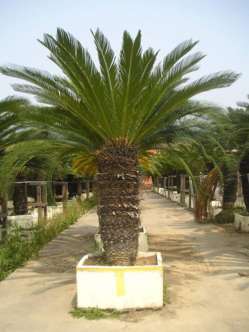 d4b3041618ab4295917a0aad6a1162