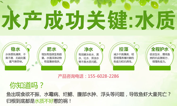 净化水质em菌种