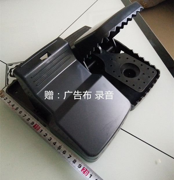 IMG20170513183853_副本