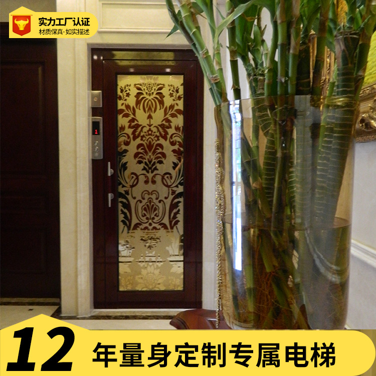 乘客电梯供应江苏苏州斯格电梯品牌2017年新款小型家用别墅电梯|ms