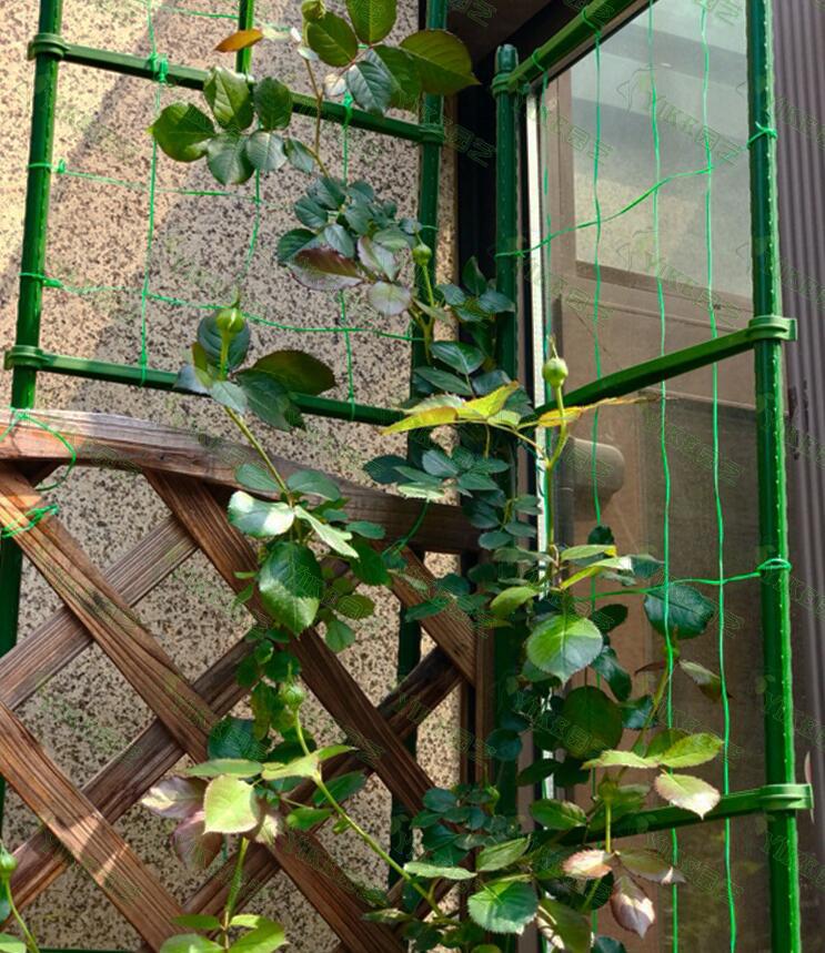 QQ图片20171027101954