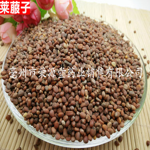 ���l��ș�� �R���� �}���� �˹����x �Ƀ��o�s�| ��؛����