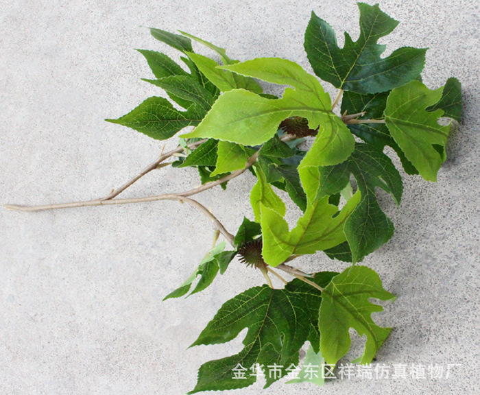 XRB-164构叶三叉枝立体1