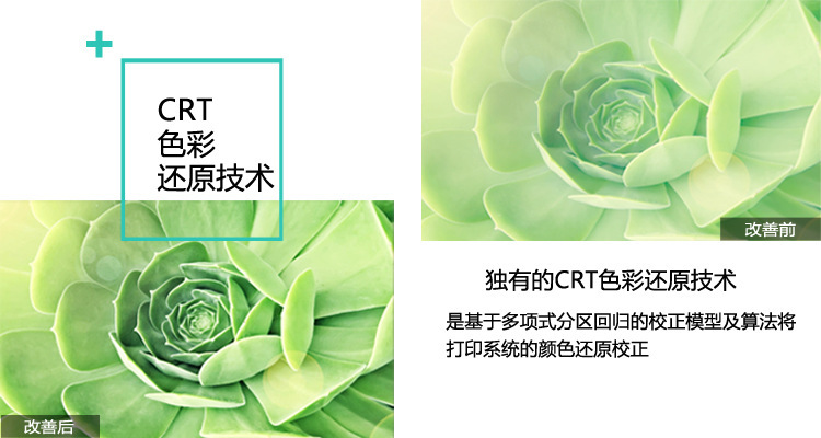 4028015338_1101066829