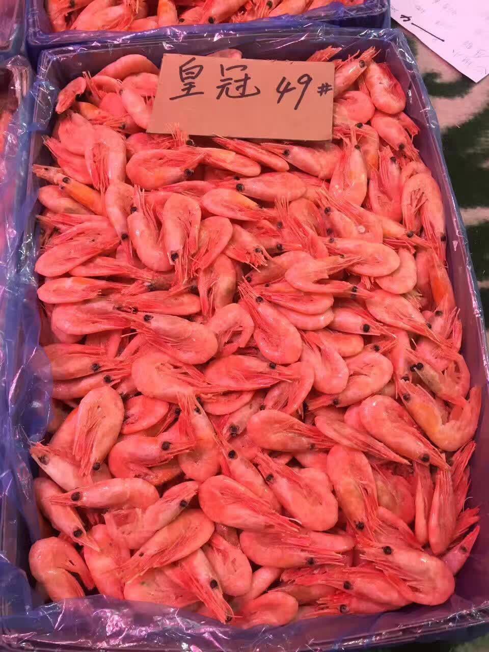 自助餐用廠家直銷北極甜蝦 冷凍冰蝦 野生籽蝦批發 5KG箱裝北極蝦