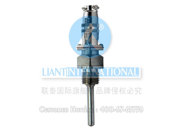 WZC2-270 双支铜热电阻 zhongtian liantai