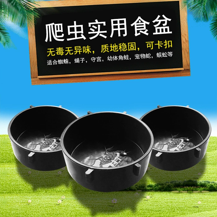 Кормушка для рептилий Кормушка для воды Лоток Черепаха Шугун Паук Рогатая Лягушка Кормушка для змеи Чаша Овощная тарелка Ландшафтное устройство
