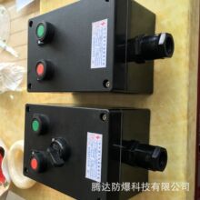 lcz8050-a2防爆防腐挂式操作柱 工程塑料二钮操作柱 生产厂家供货