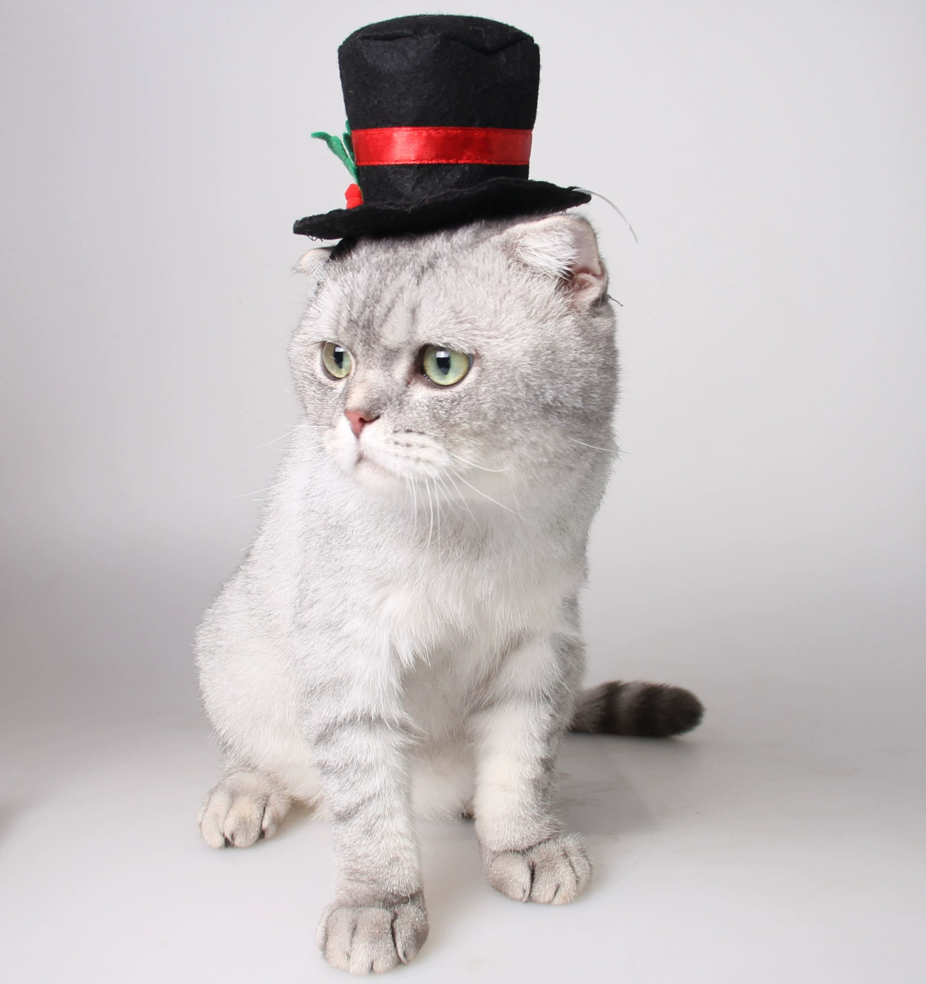 Jizai cat товары для домашних животных фабрика шляп европейские и американские рождественские элементы праздничное платье бархатная джентльменская черная шляпа