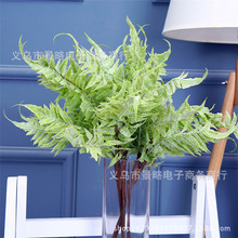 �����Pβާާ�ݲ�˹�ݲ�˹�~ֲ�����Ų����Xާ�G���@���b�