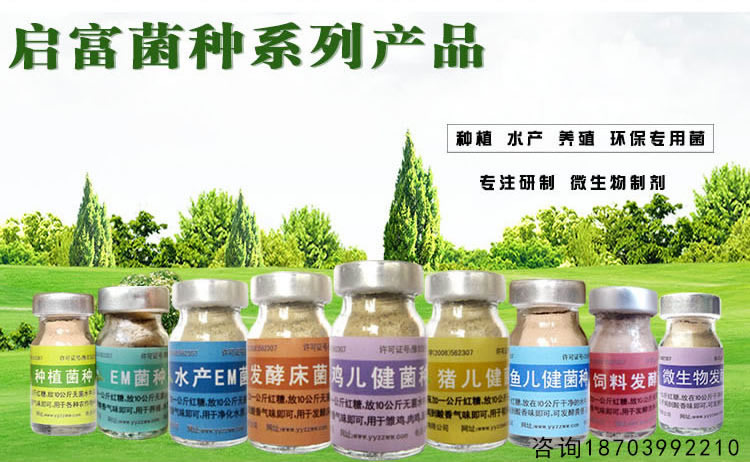微生物菌种