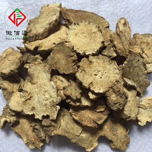 �����h���S������ș�Ĳ�Ѭ������ϸ����ϸ������ϸ����ϸ���