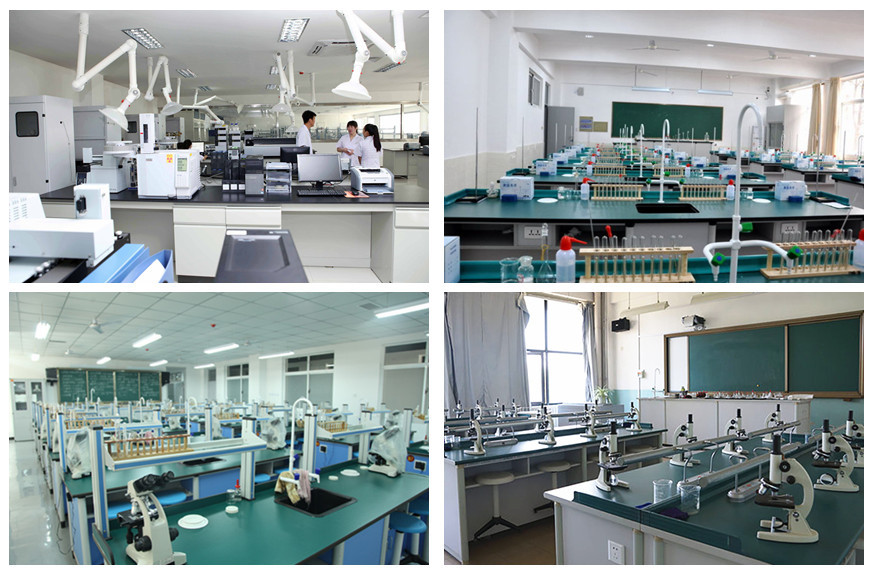 【现货】供上海精宏DHG-9023A台式电热恒温鼓风干燥箱 烘箱批发