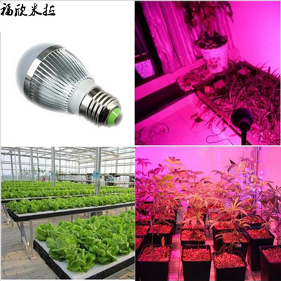 Spectrum Botany Grow Bulbleb led bulb Botany Grow Photosynthesis grow seedlings strawberry Tomatoes