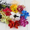 Beach hairgrip, hair accessory, hairpins, beach style, orchid, flowered, wholesale