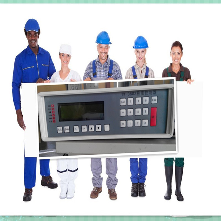 厂家批发TW-C802称重控制器，皮带秤仪表，精度好，抗干扰