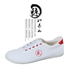 2024 new martial arts shoes, non-slip tendon bottom canvas shoes, breathable square dance shoes for men and women, Tai Chi shoes, aerobics shoes